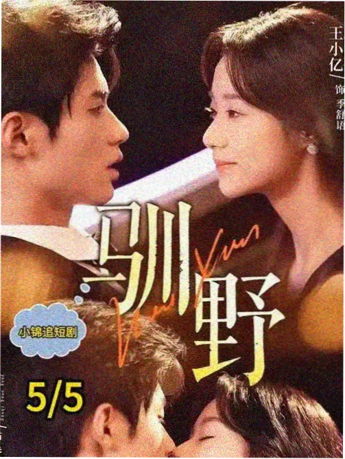 新世纪福音战士 TV 版